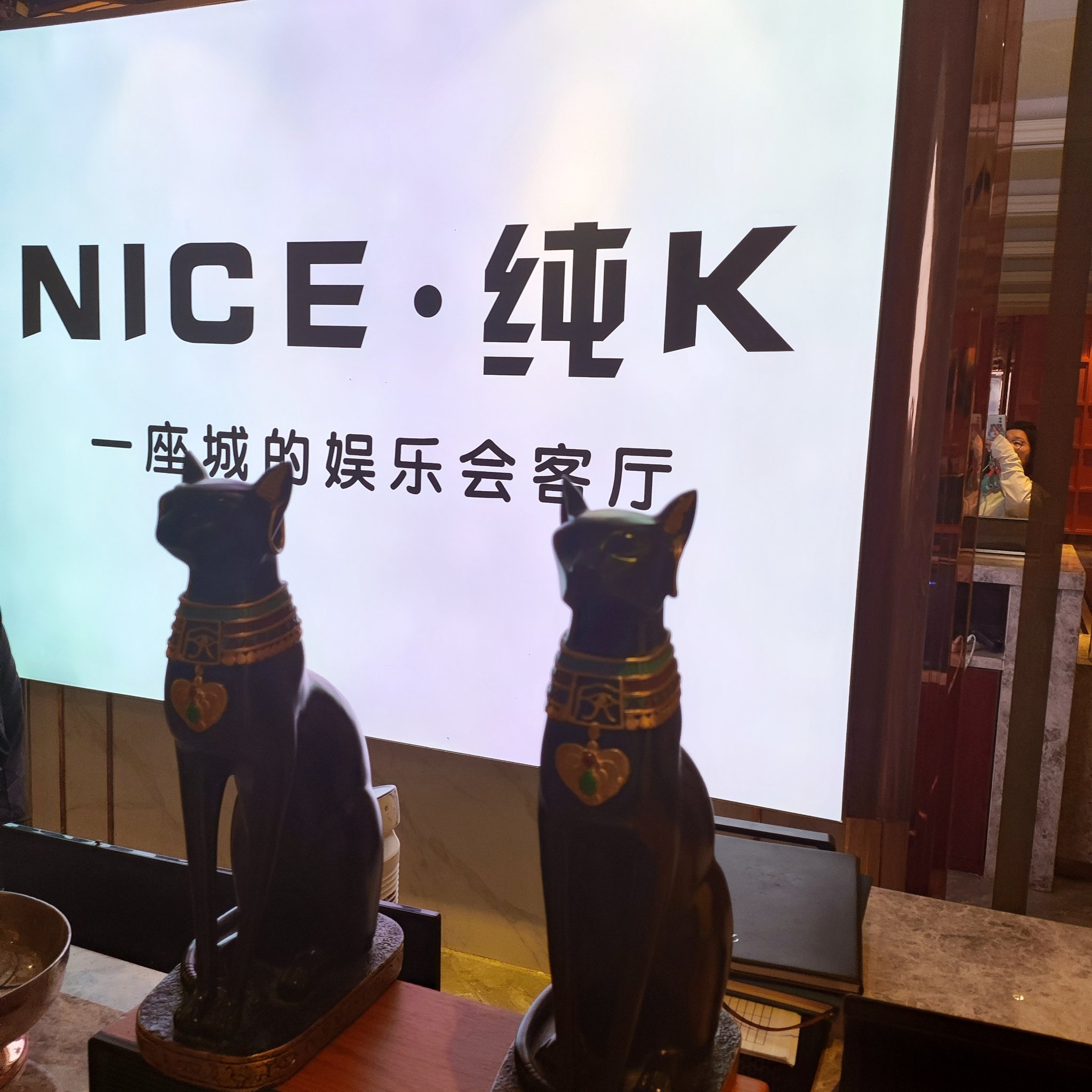 永州商务KTV独享，单人尊享体验-东安县ktv预定